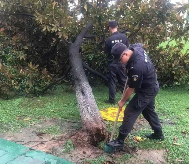 C:/Users/BA/Desktop/風(fēng)雨過后南京保安迅速行動(dòng)，恢復(fù)安“寧”面貌/10.jpg10