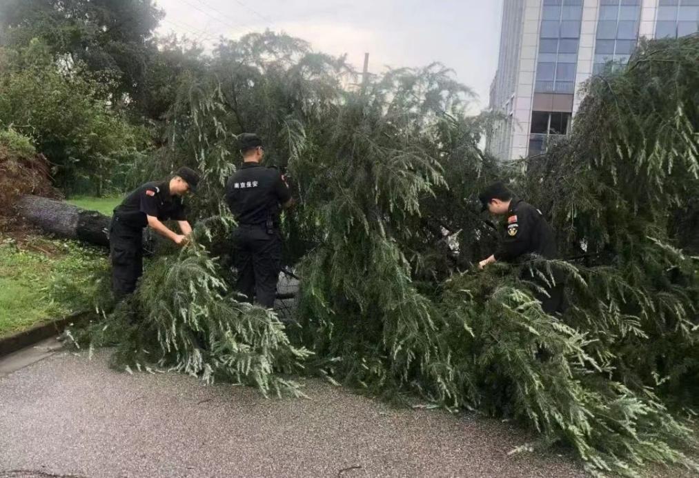 C:/Users/BA/Desktop/風(fēng)雨過后南京保安迅速行動(dòng)，恢復(fù)安“寧”面貌/1.jpg1